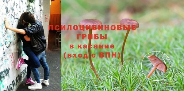 метадон Карпинск
